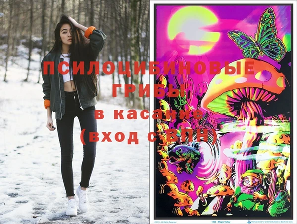стафф Алексеевка