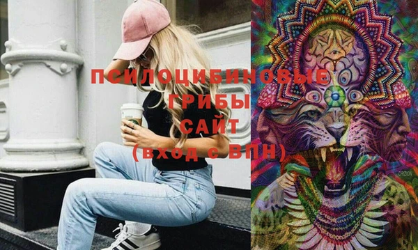 стафф Алексеевка