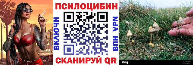 Псилоцибиновые грибы мицелий  купить  сайты  hydra зеркало  Гаджиево 